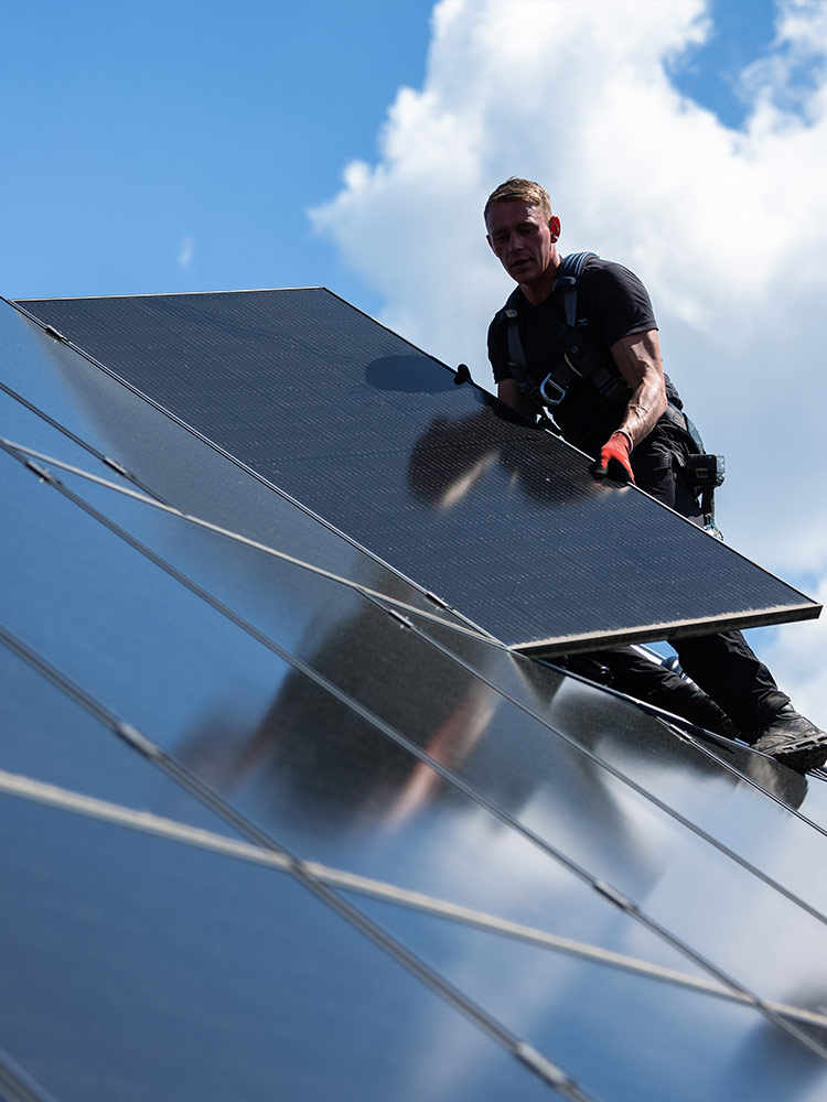 Ede zonnepanelen